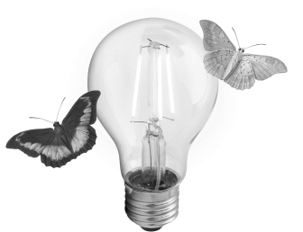 lightbulb